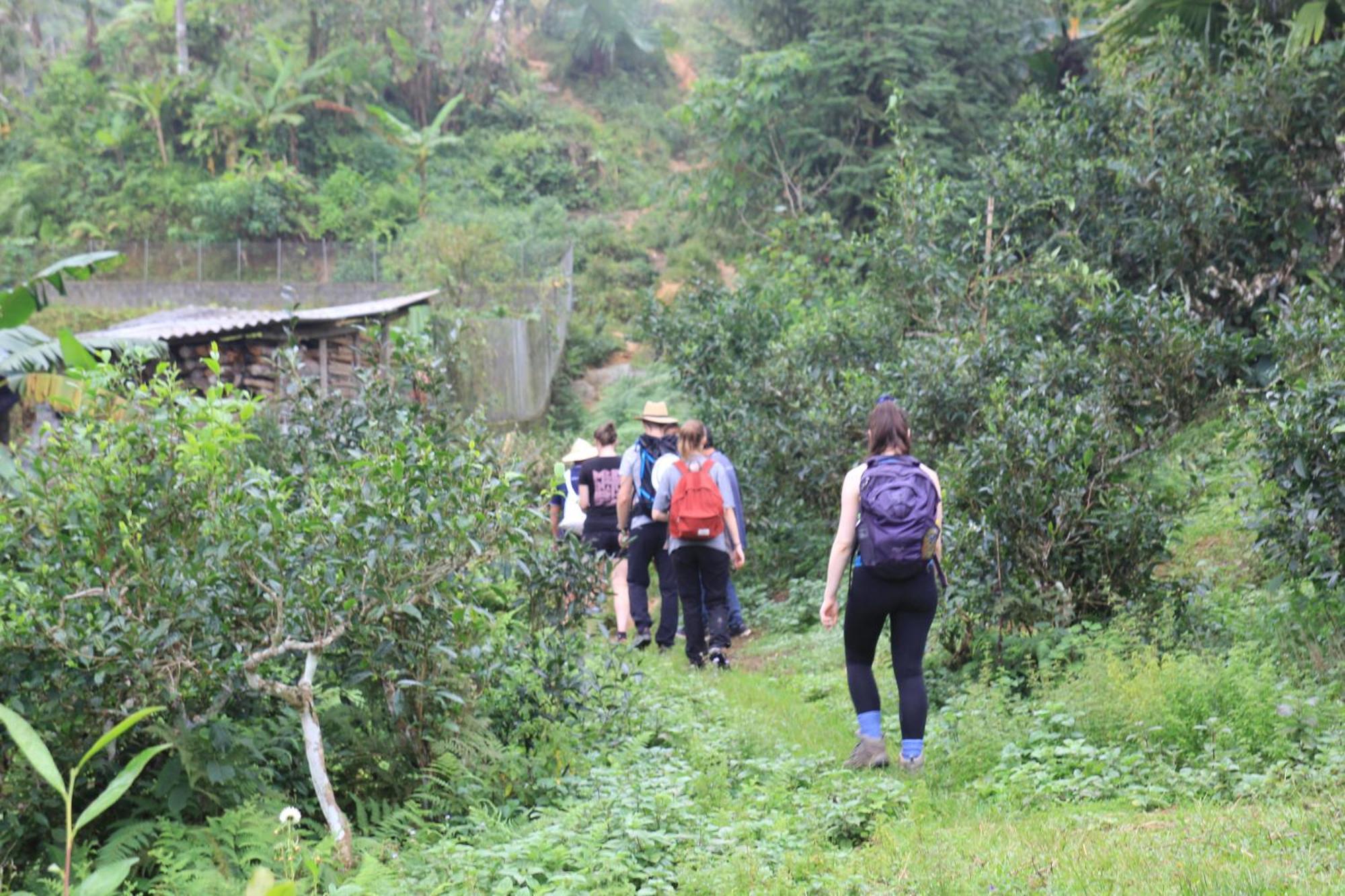 Thavill Retreat Hagiang Appartement Ha Giang Buitenkant foto