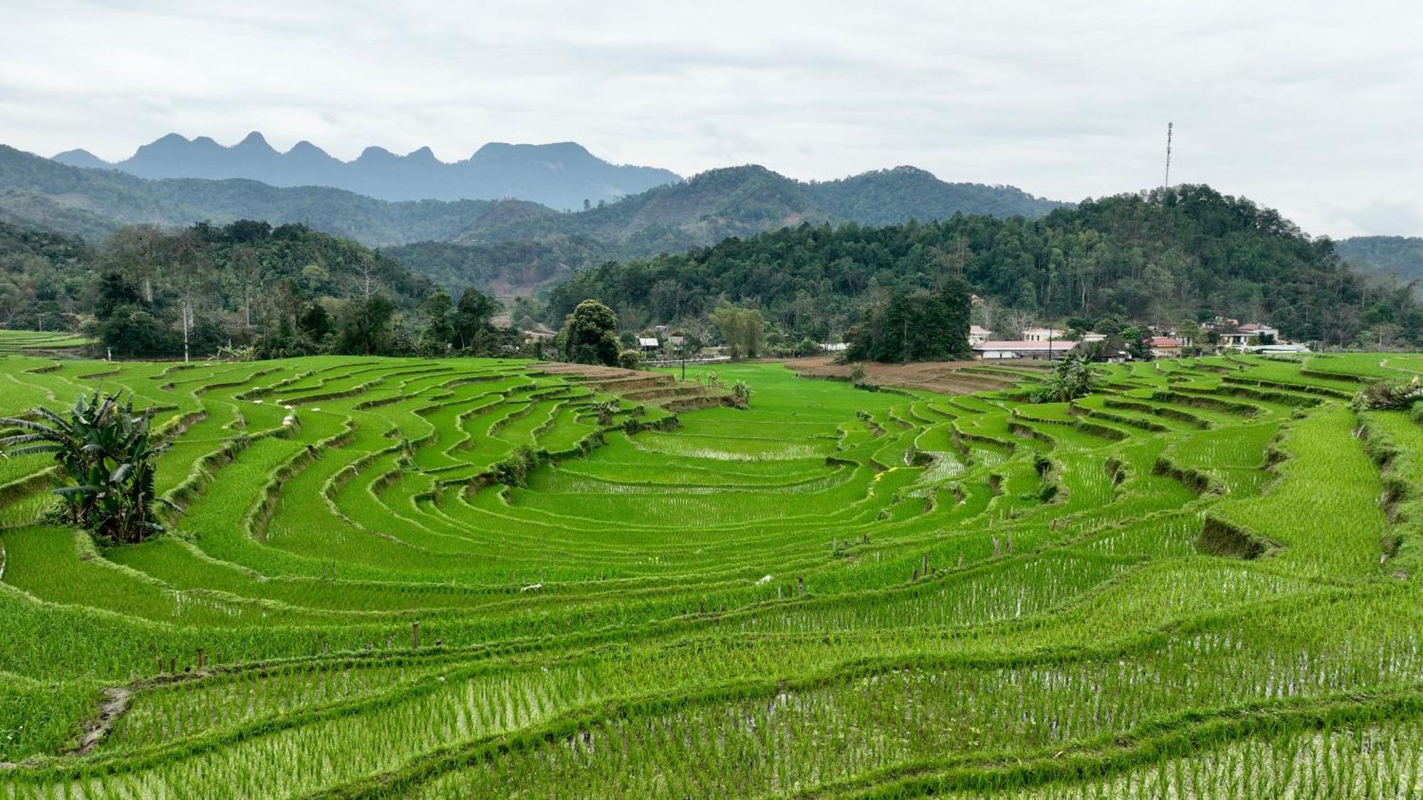 Thavill Retreat Hagiang Appartement Ha Giang Buitenkant foto