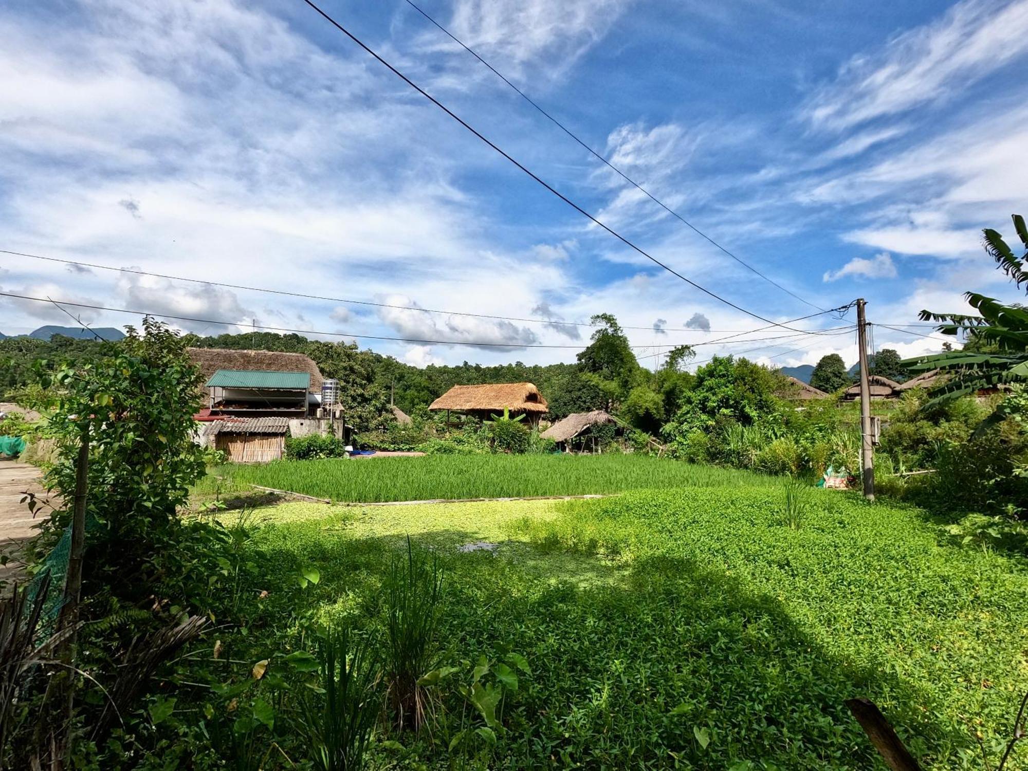 Thavill Retreat Hagiang Appartement Ha Giang Buitenkant foto