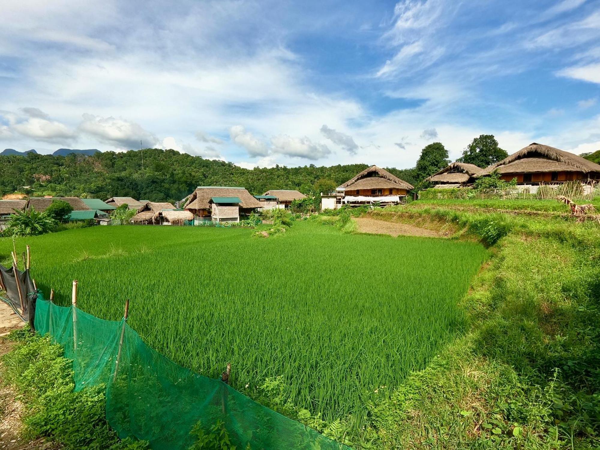 Thavill Retreat Hagiang Appartement Ha Giang Buitenkant foto