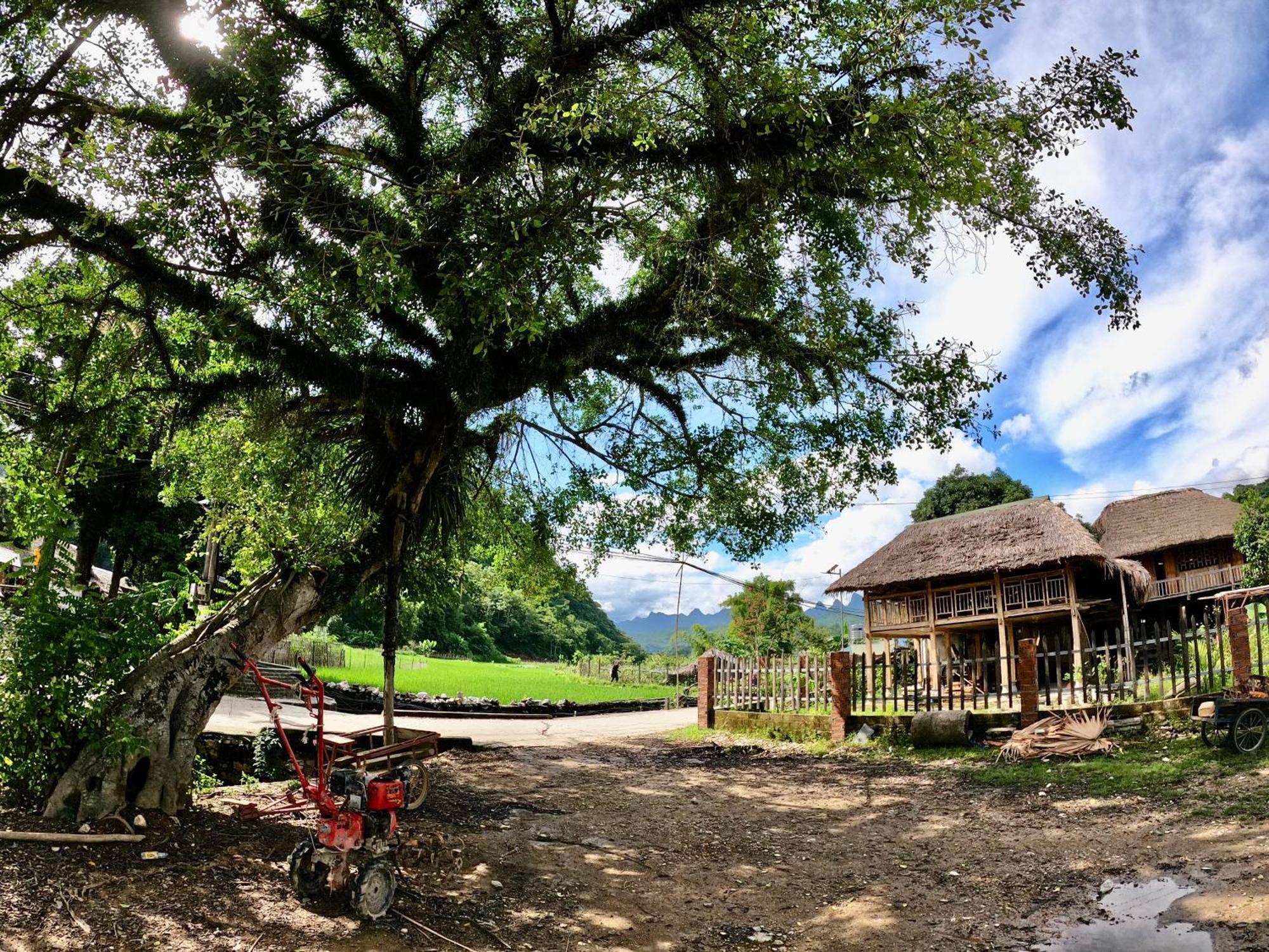 Thavill Retreat Hagiang Appartement Ha Giang Buitenkant foto